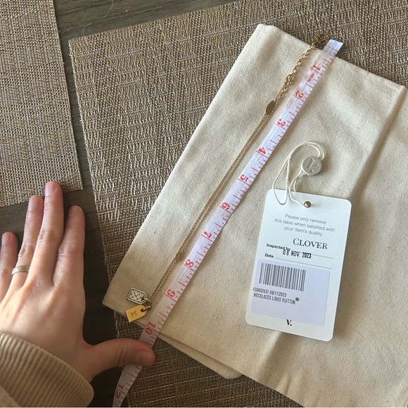 LV Nanogram Dog Tag Necklace - Picture 11 of 16